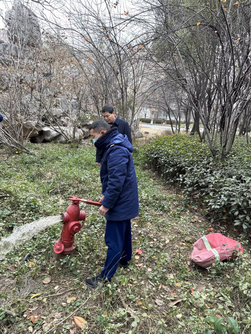 图片3.png 图片3.png